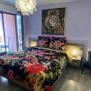 Mallo'S Lodge Avec Parking Gratuit Et 2 Balcons